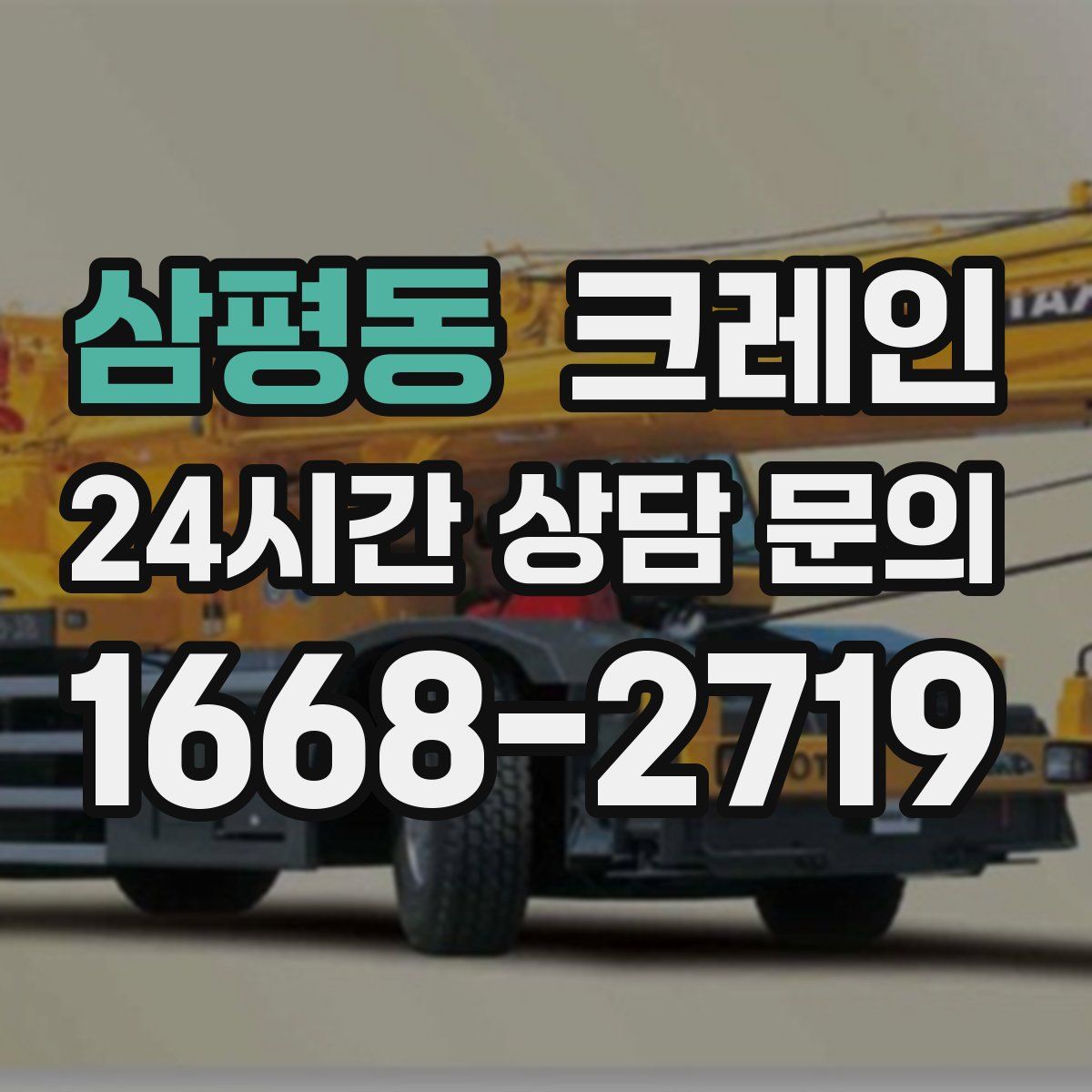 삼평동 카고 크레인