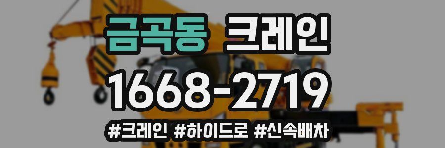 금곡동 크레인 작업