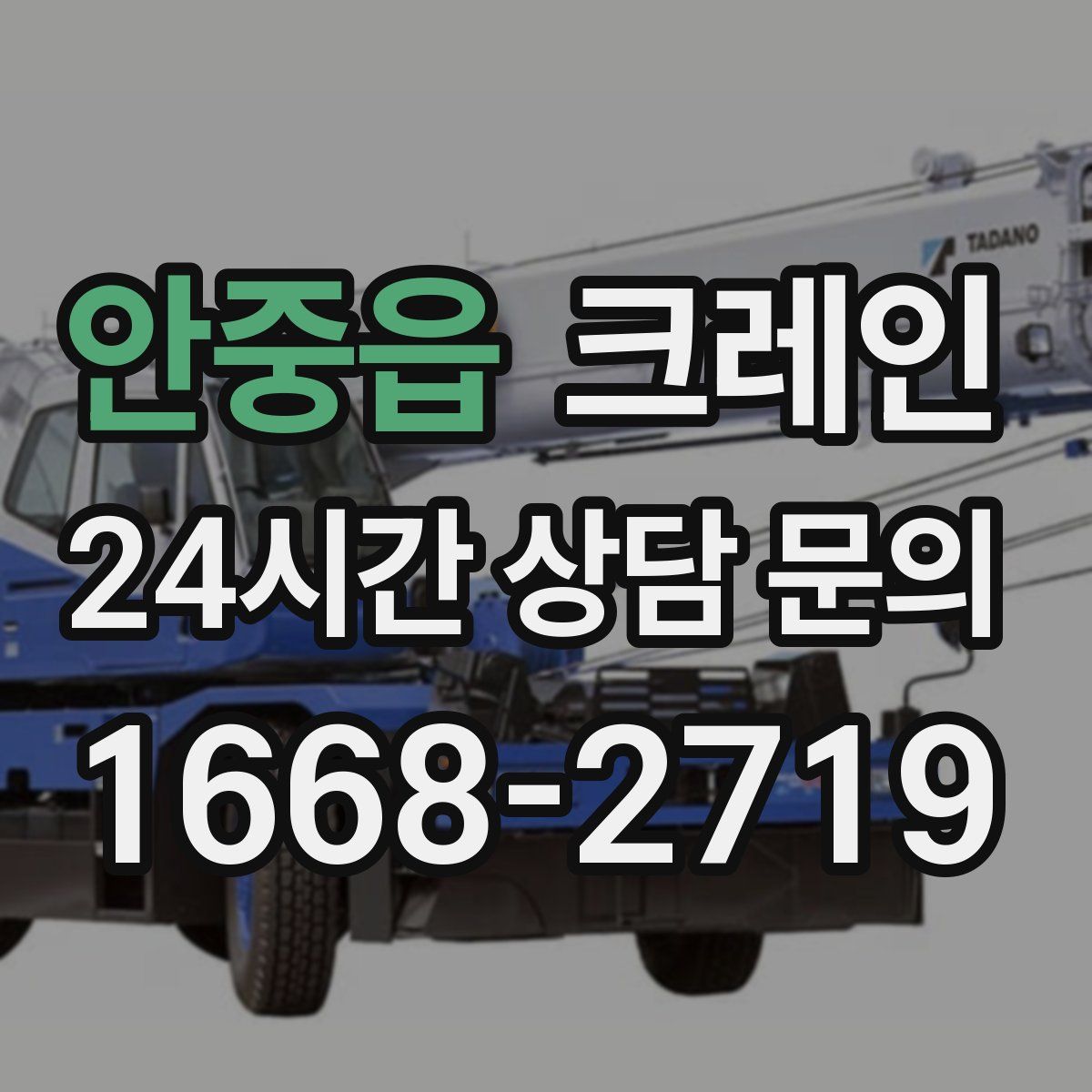 안중읍 카고 크레인