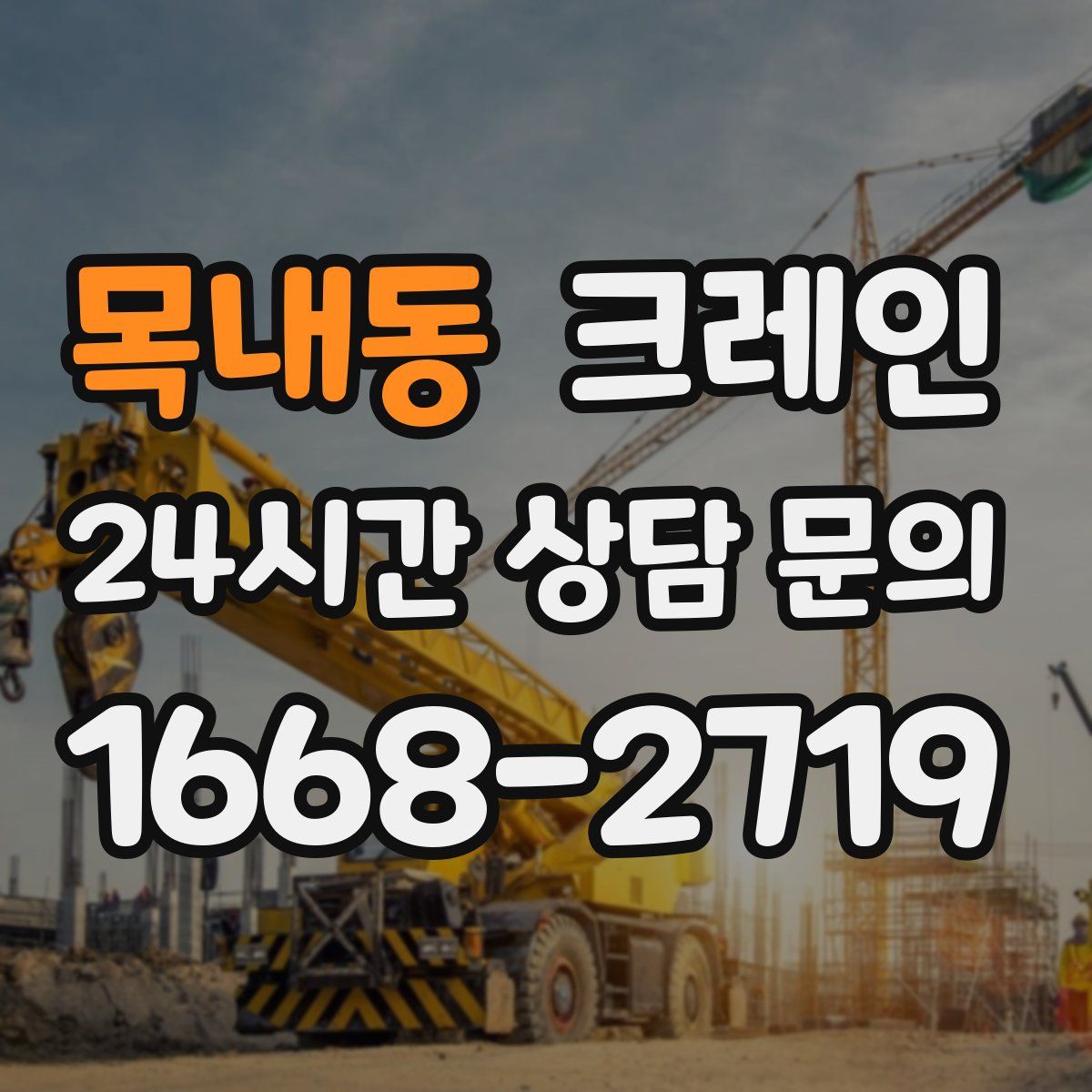 목내동 카고 크레인