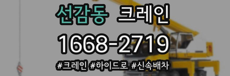 선감동 크레인 작업