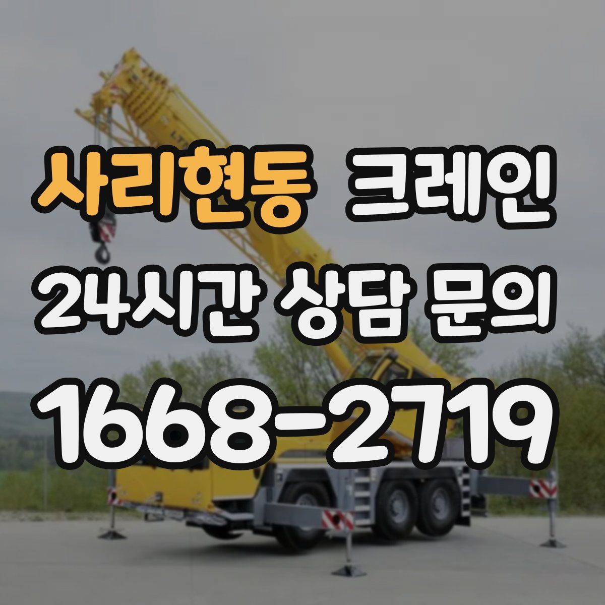 사리현동 카고 크레인