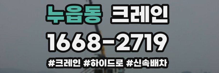누읍동 크레인 작업