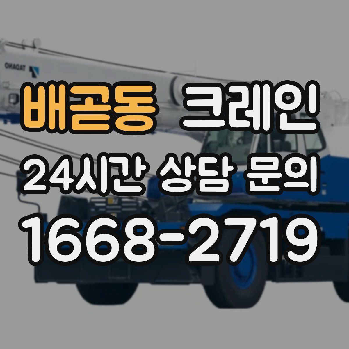 배곧동 카고 크레인