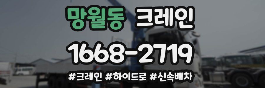 망월동 크레인 작업