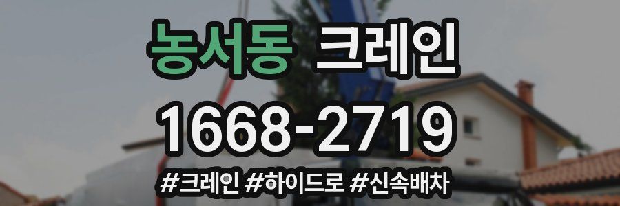 농서동 크레인 작업