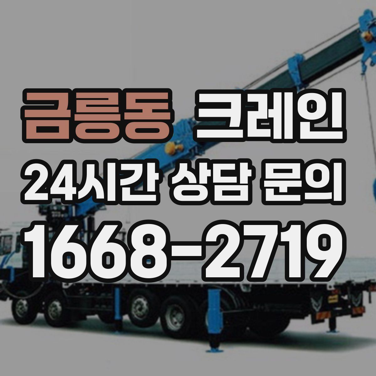 금릉동 카고 크레인