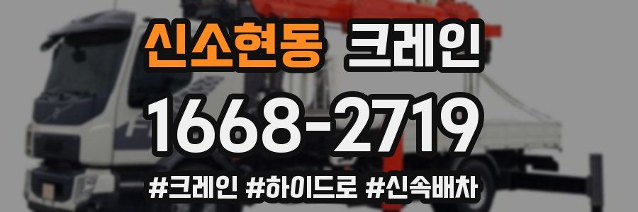 신소현동 크레인 작업