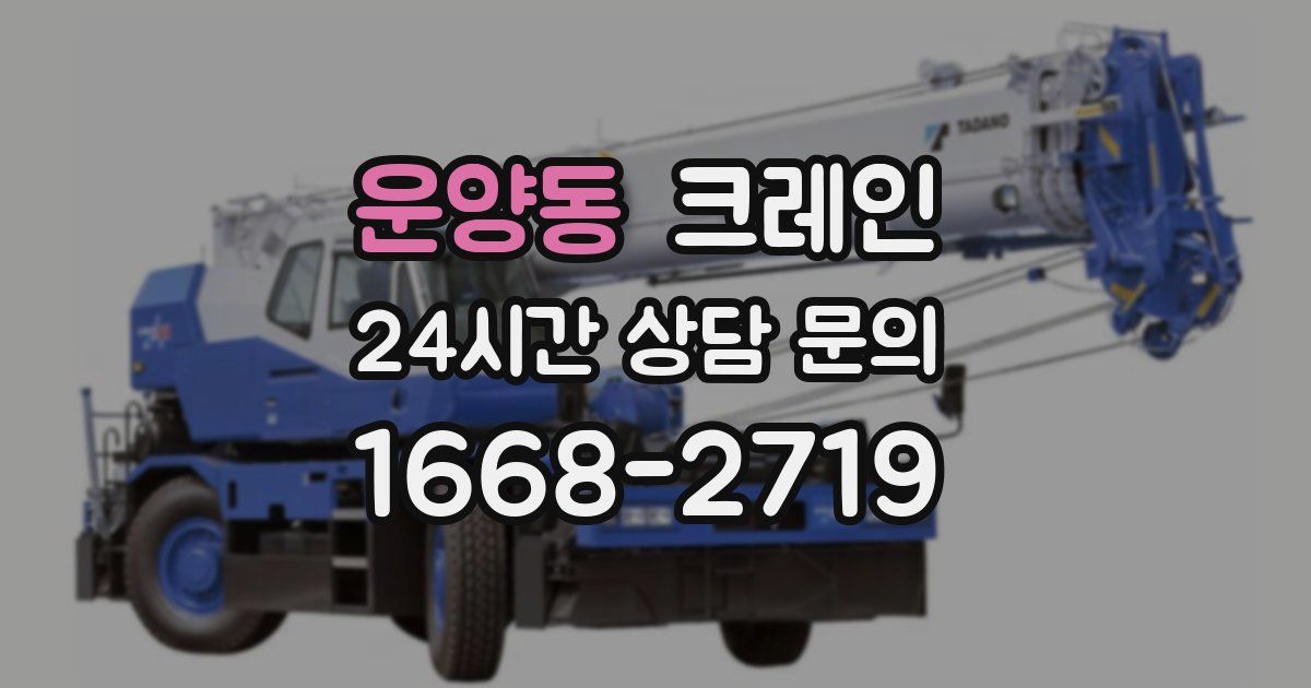 운양동 크레인