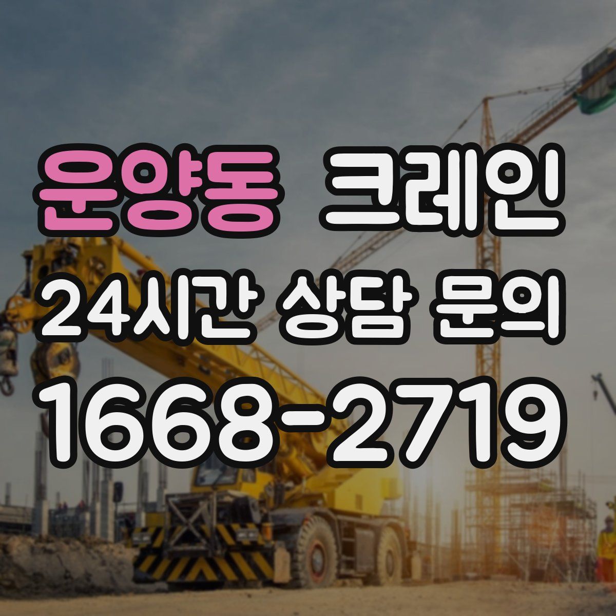 운양동 카고 크레인