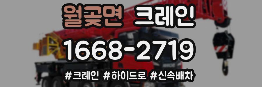 월곶면 크레인 작업