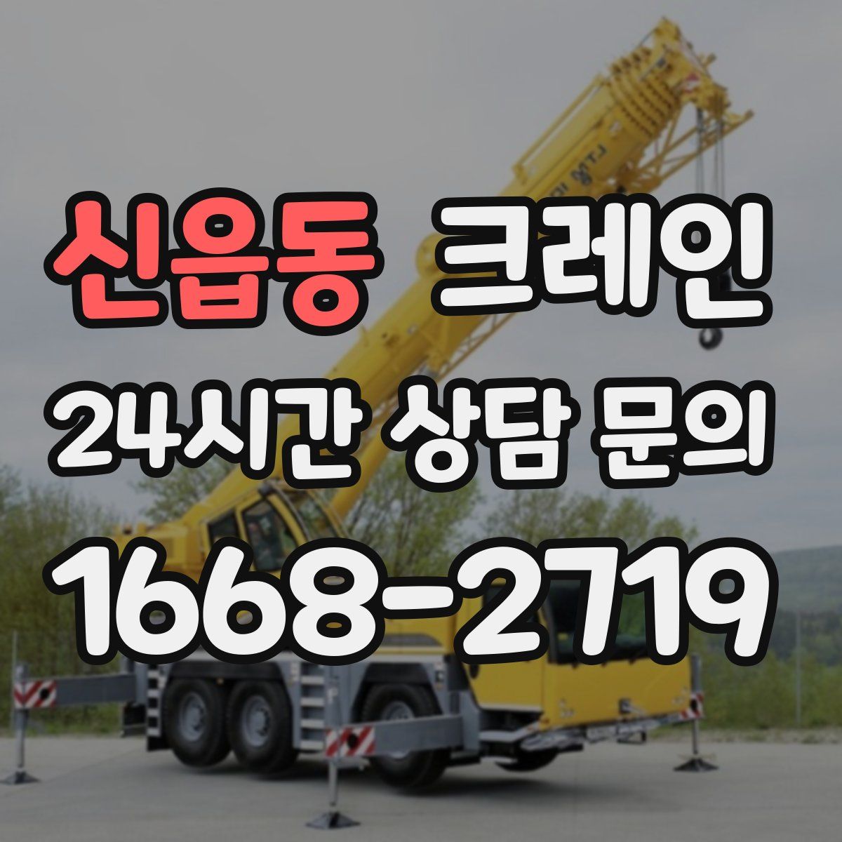 신읍동 카고 크레인