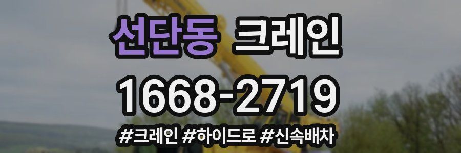 선단동 크레인 작업