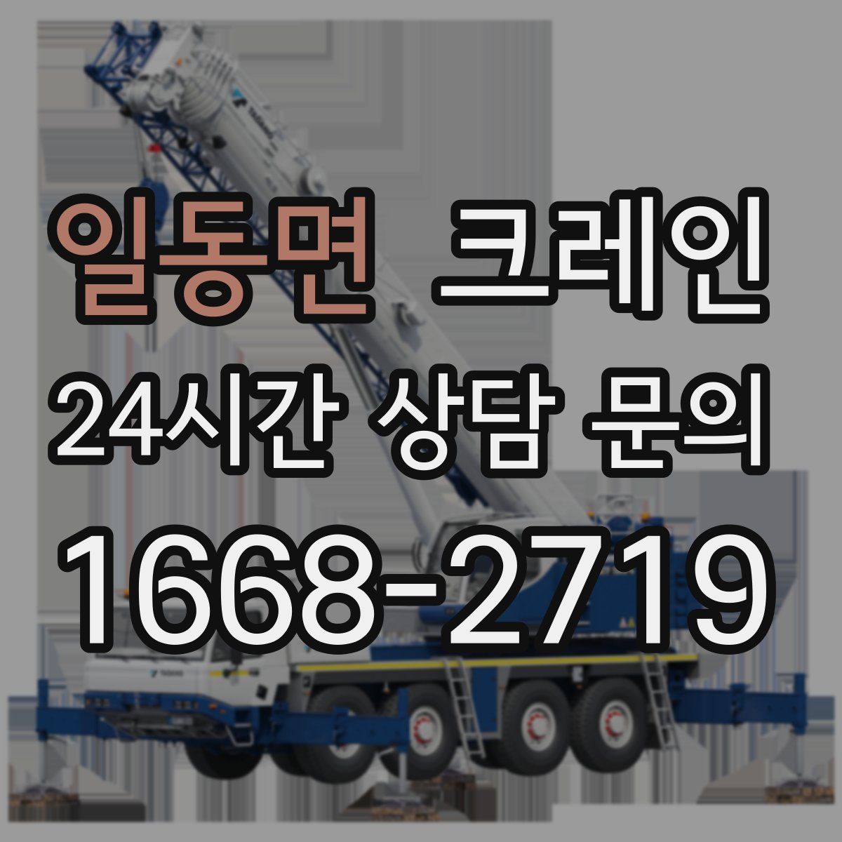 일동면 카고 크레인