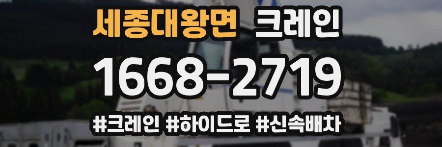 세종대왕면 크레인 작업