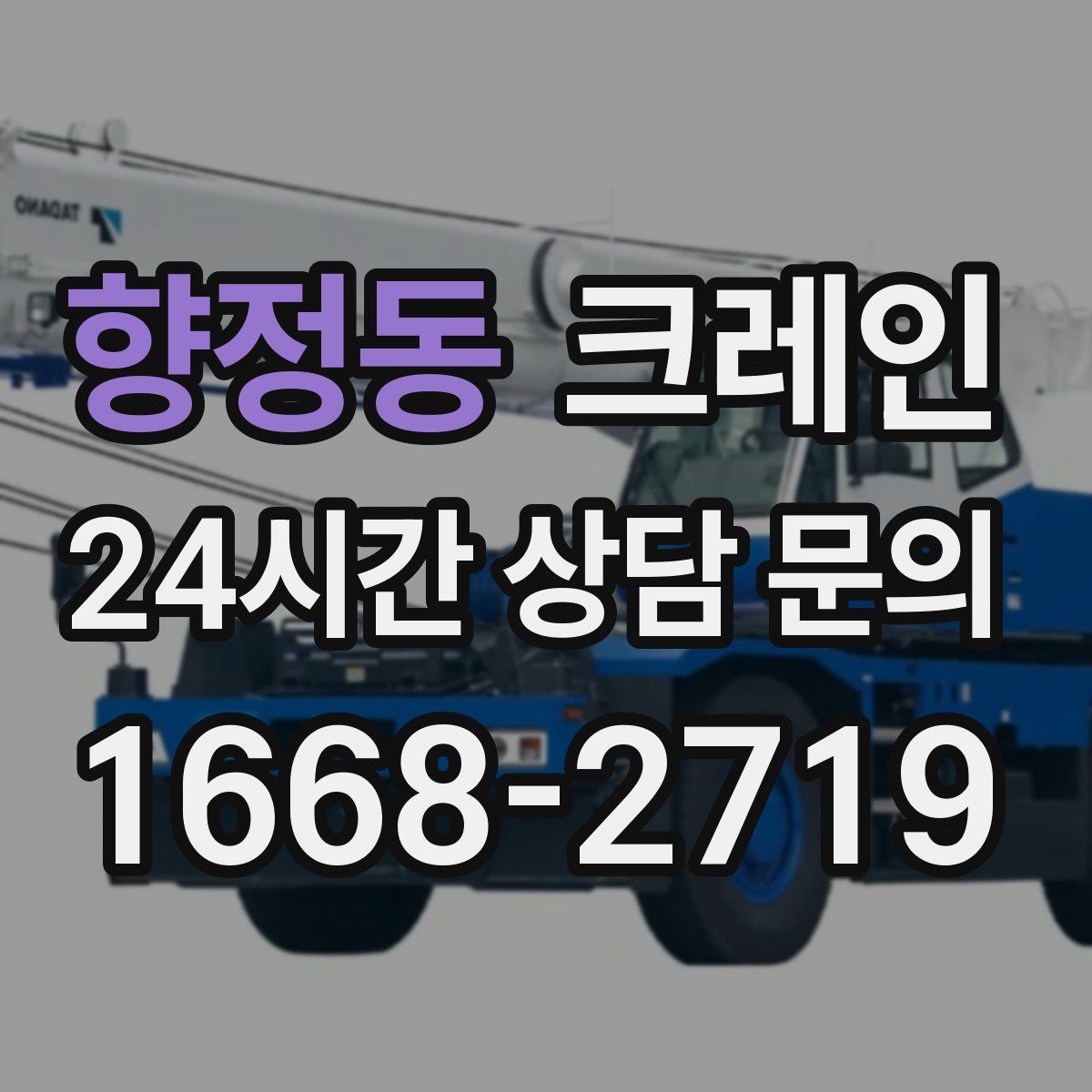 향정동 카고 크레인