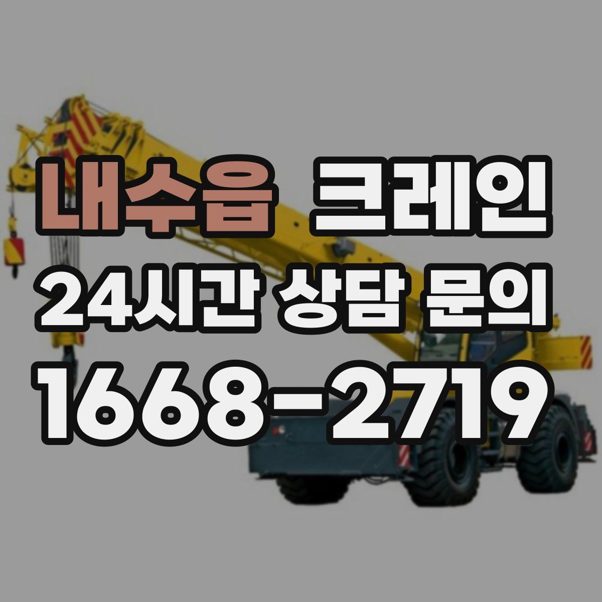 내수읍 카고 크레인