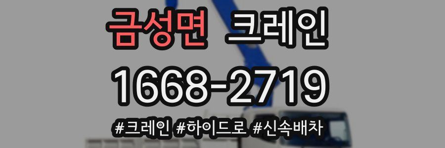 금성면 크레인 작업