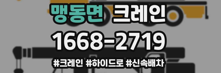 맹동면 크레인 작업