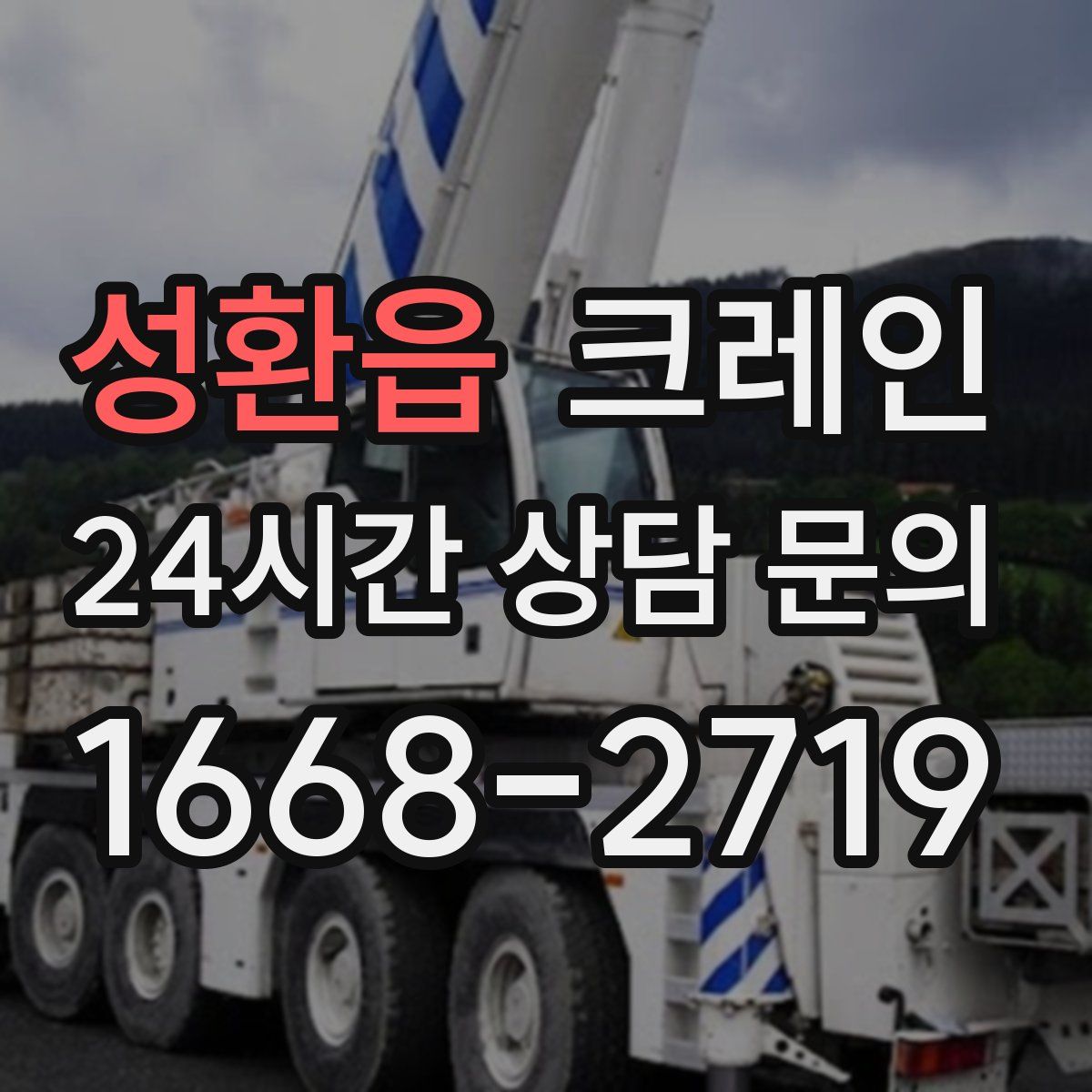 성환읍 카고 크레인