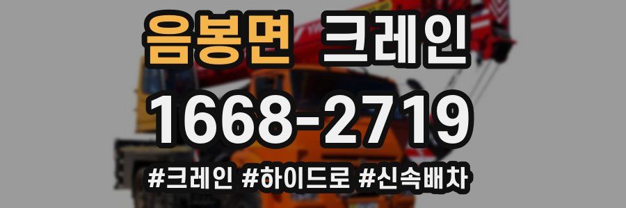 음봉면 크레인 작업