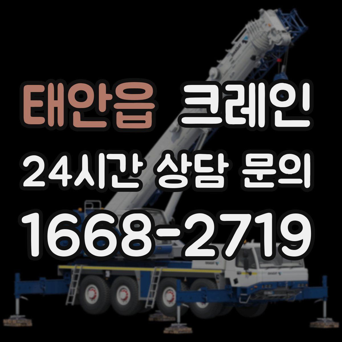 태안읍 카고 크레인