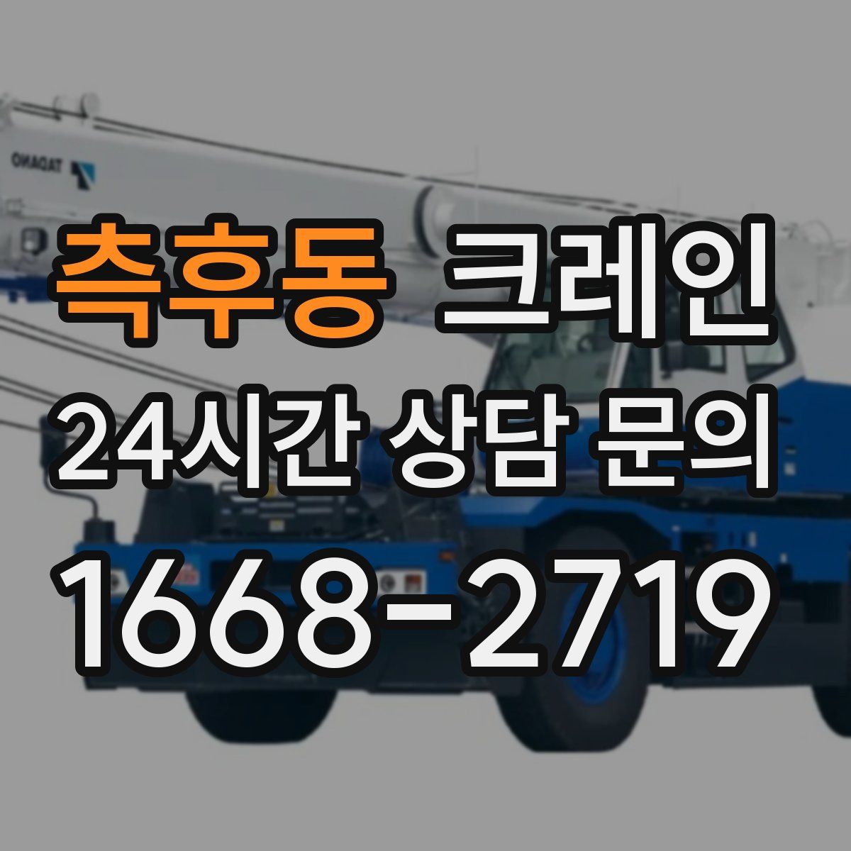 측후동 카고 크레인