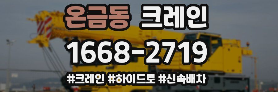 온금동 크레인 작업