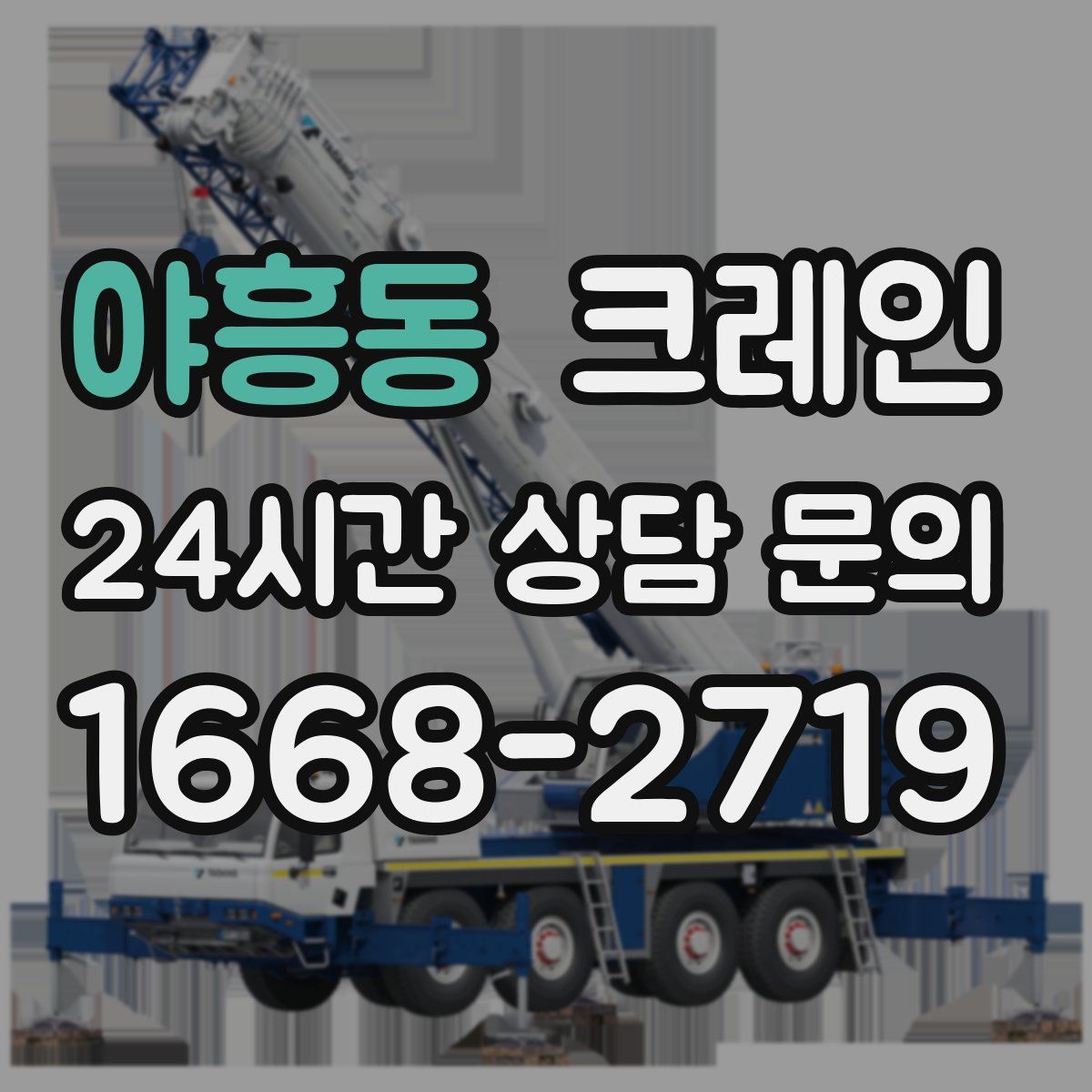 야흥동 카고 크레인