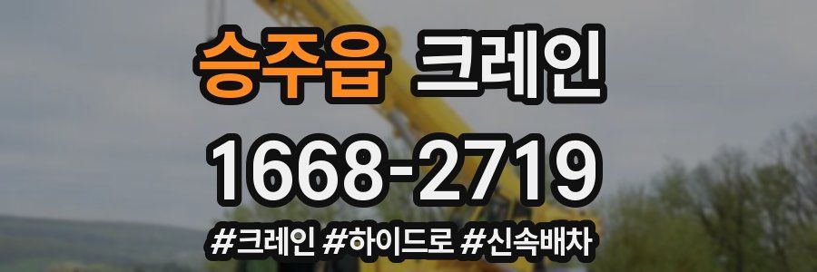 승주읍 크레인 작업