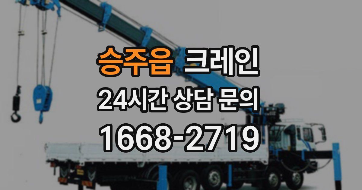 승주읍 크레인