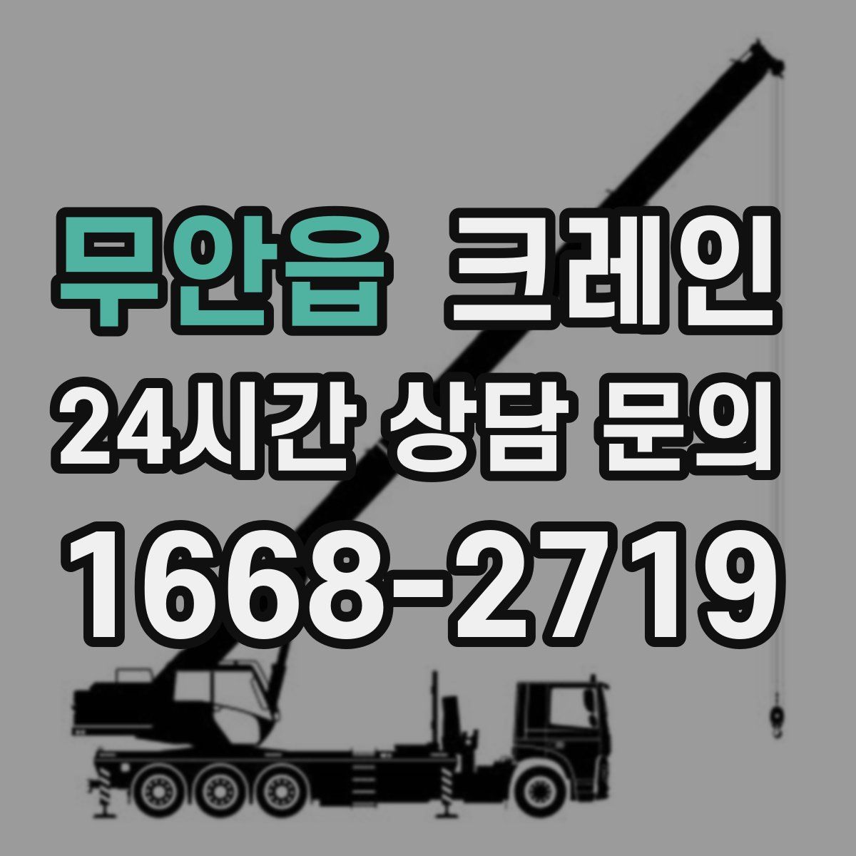 무안읍 카고 크레인