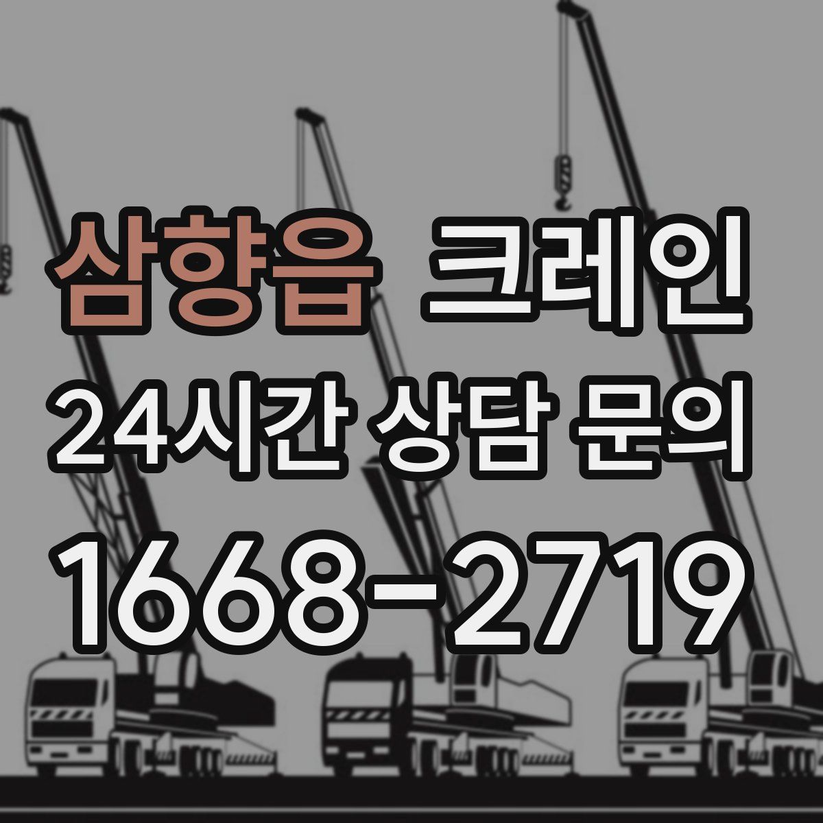 삼향읍 카고 크레인