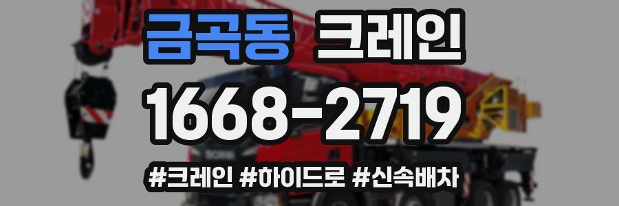 금곡동 크레인 작업