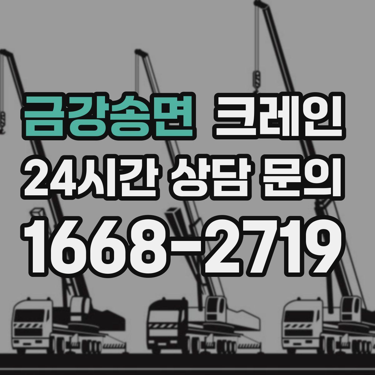 금강송면 카고 크레인