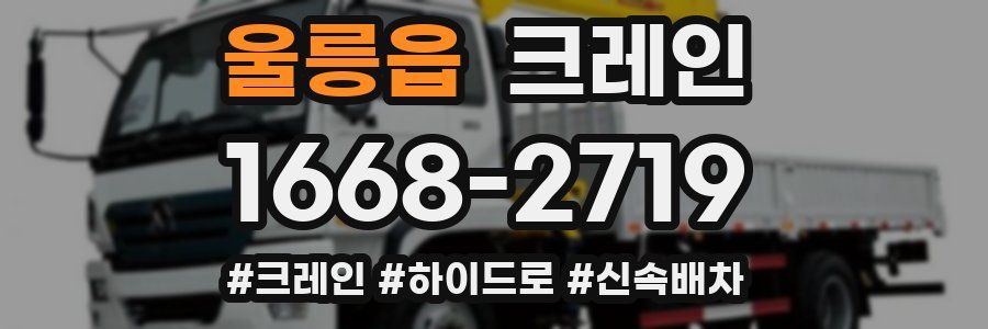 울릉읍 크레인 작업