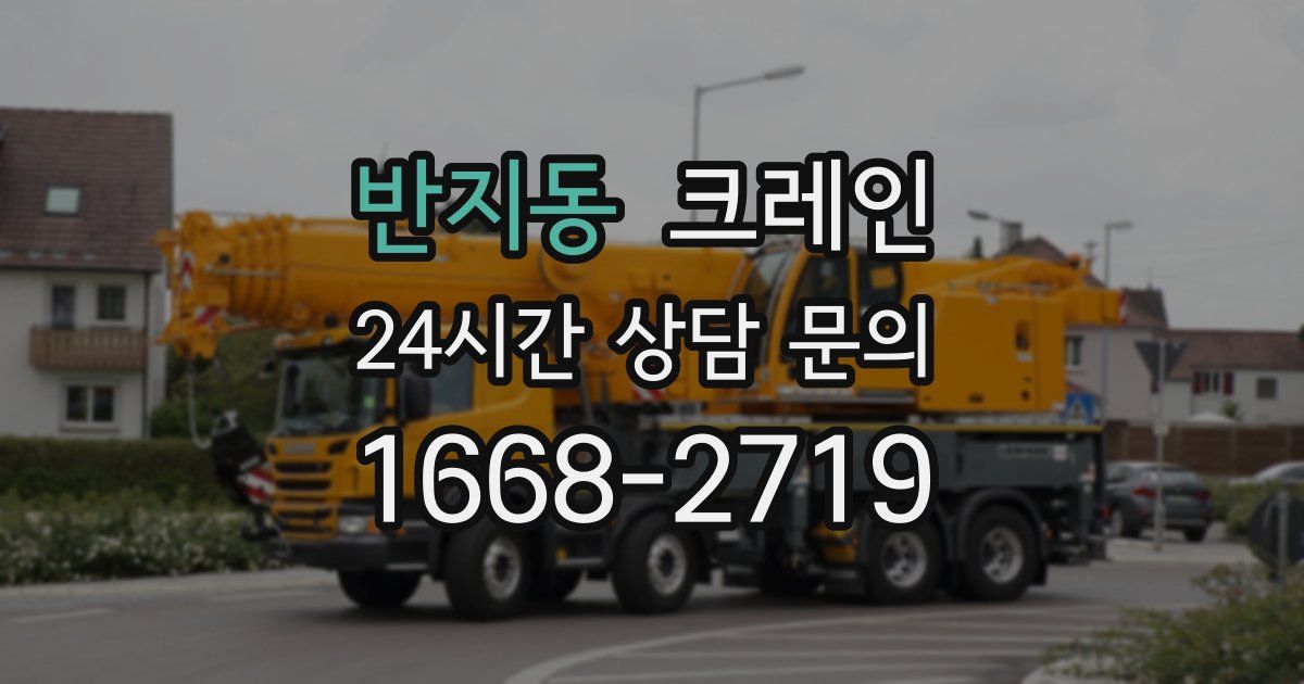 반지동 크레인