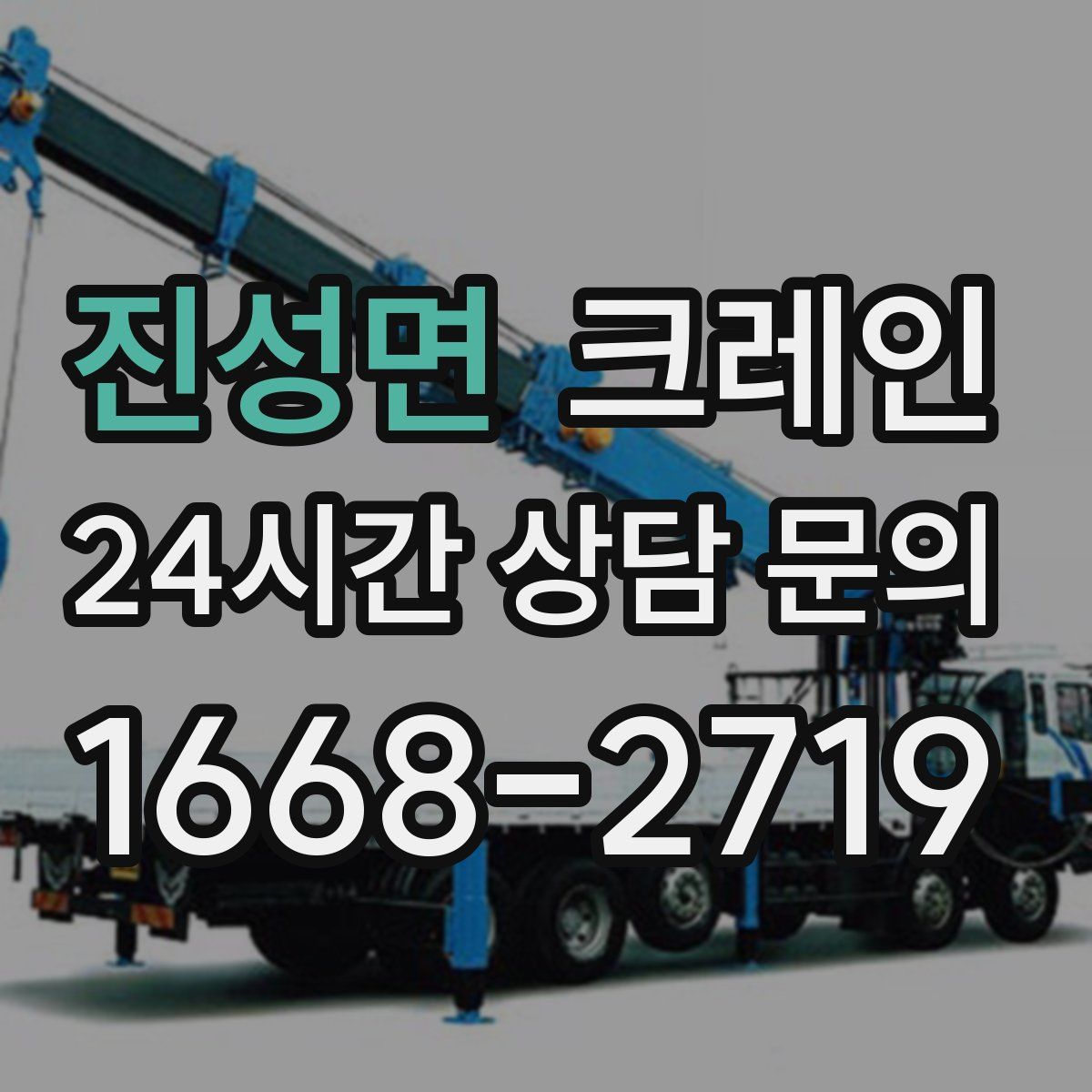 진성면 카고 크레인