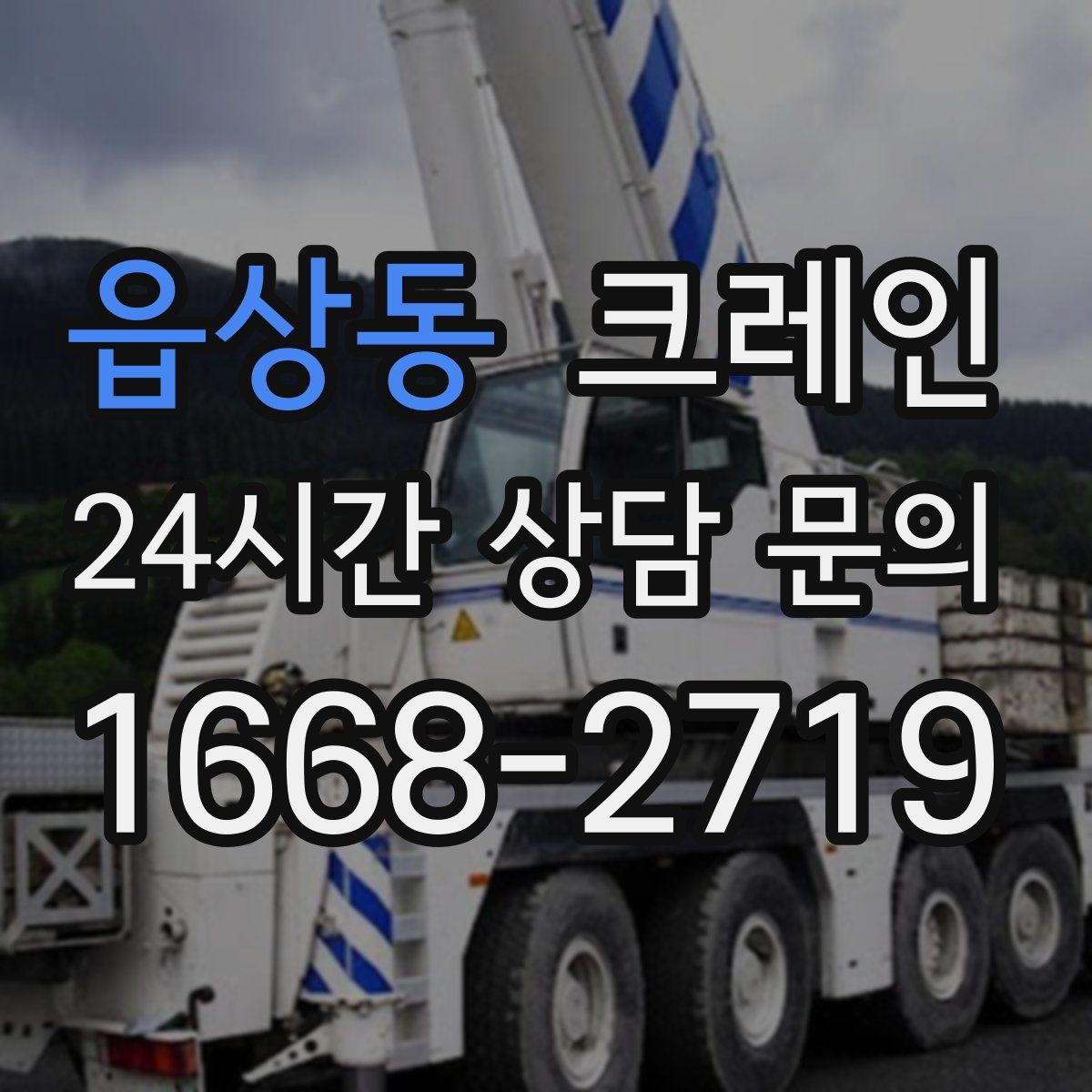 읍상동 카고 크레인