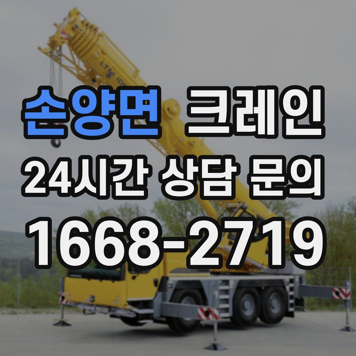 손양면 카고 크레인