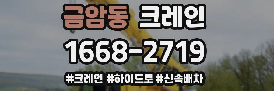 금암동 크레인 작업