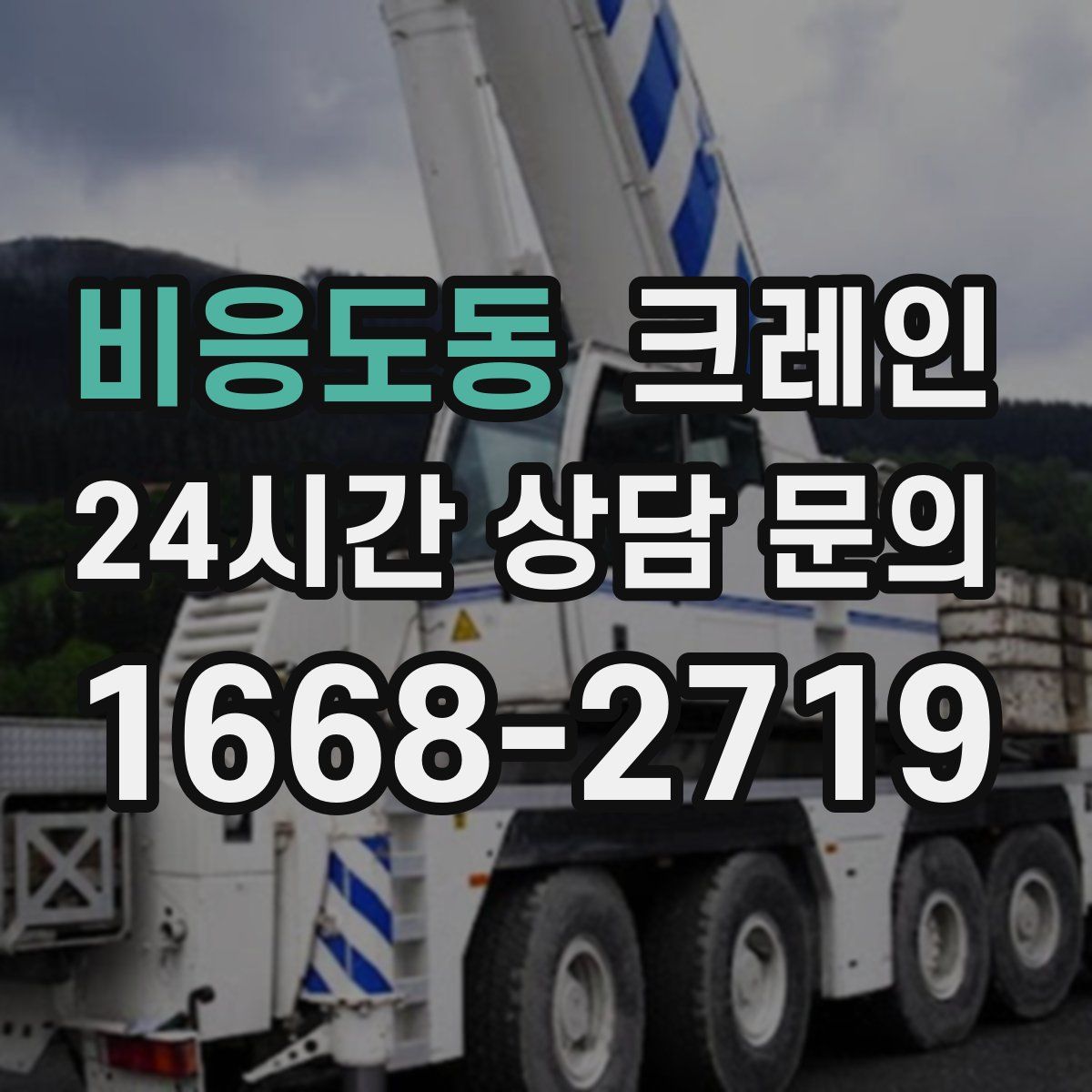 비응도동 카고 크레인