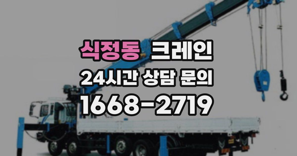 식정동 크레인