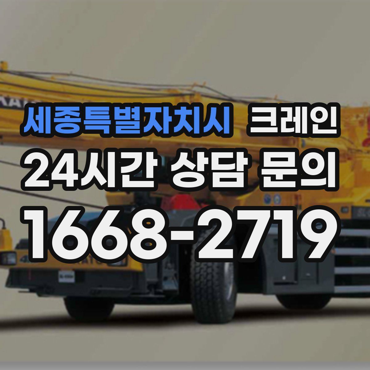 세종특별자치시 카고 크레인