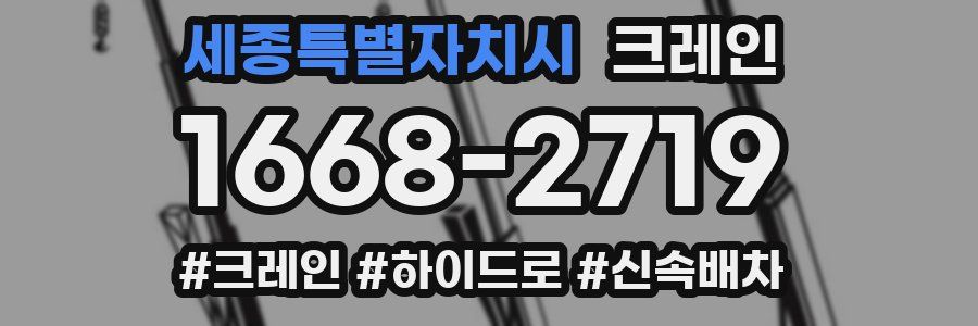 세종특별자치시 크레인 작업