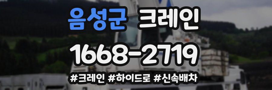 음성군 크레인 작업