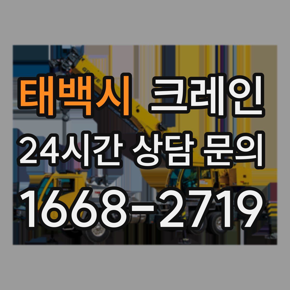 태백시 카고 크레인