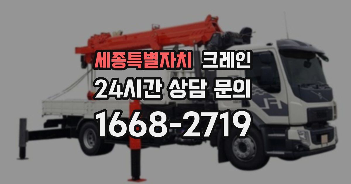 세종특별자치 크레인