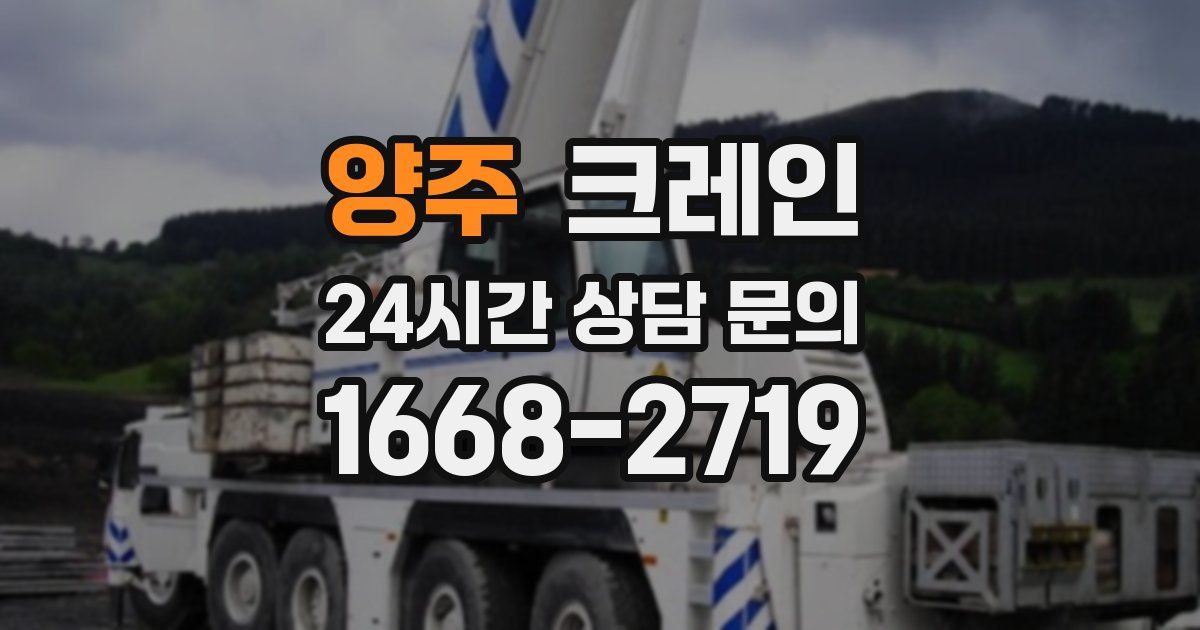 양주 크레인