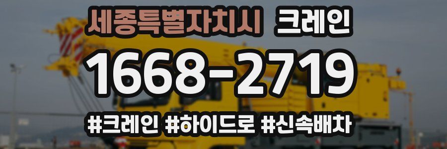 세종특별자치시 크레인 작업
